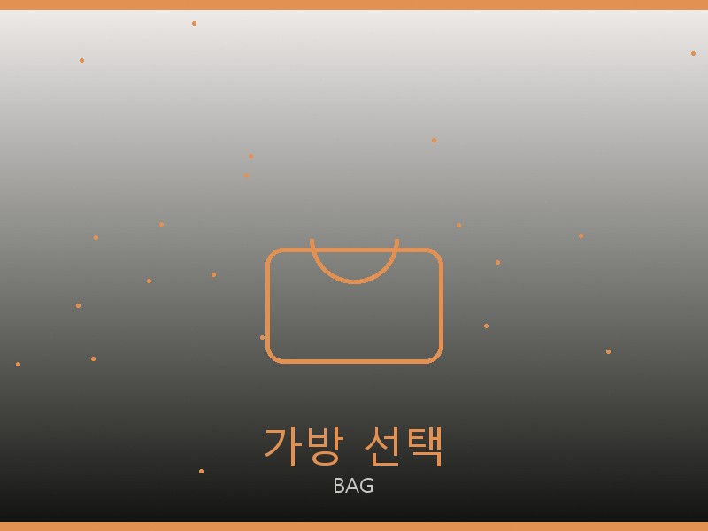오메가 레플리카 사이트 가방 선택 가이드